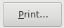 Screenshot of the Print button