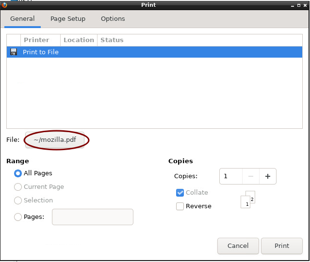 Screenshot of the print dialogue window