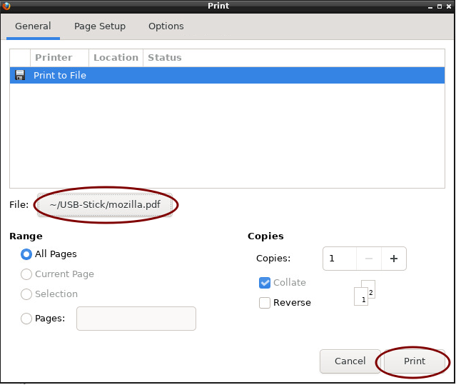 Screenshot of the print dialogue window